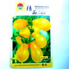 Fresh Harbin Yellow Pear Cherry Tomato Seeds 300 Seeds/Pack Tasty Sweet Edible Fruit