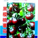Fresh Harbin Black Cherry Tomato Seeds Original Pack 300 Seeds/Pack Cherry Fruit