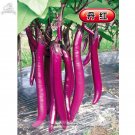 Fresh Hangzhou Red Long Egg F1 Vegetable Seeds 200 Seeds Tasty Edible Eugonic