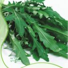 Fresh 10 Original Packs 120 seeds / pack Garden Rocket Eruca Herbs Vegetable Seed