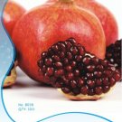 Fresh 10 Original Packs 10 seeds / pack POMEGRANATE FRUIT TREE Red Punica Granatum