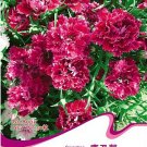 Fresh 1 Original Pack 30 Seeds/Pack Red Carnation Flower Dianthus Caryophyllus