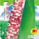 Fresh 100g Seeds/Pack Color Glutinous Maize NO.23 Corn Seeds Tasty Corn