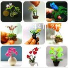 Fresh Mixed Colors Orchid Seed phalaenopsis Orchid Seeds