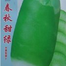 Fresh 2g Seeds/Pack Sweet Green Radish Chinese Turnip Green Vegetable Seed