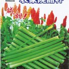 Fresh Sweet Green Sugarcane Seeds 1 Original Pack 20g Seeds/Pack Juicy Sweet Fruit