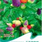 Fresh 20 Seeds/Pack Colorful Pepper Mini Bubble Rainbow Seed