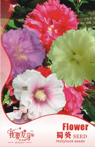 Fresh 40 Seeds/Pack Mix Hollyhock Flowers Perennial Althaea Rosea Alcea Rosea