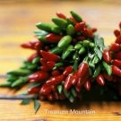 Fresh Serrano Chili Pepper Seeds 100 Seeds/Pack Bright Small Red Green Pepper Edible