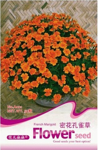 Fresh 50 Seeds/Pack French Marigold Tagetes Patula Annual Flower Seeds