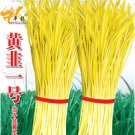Fresh 50g Seeds/Pack Hotbed Chives Chinese Yellow Chives Great Vegetables
