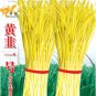 Fresh 50g Seeds/Pack Hotbed Chives Chinese Yellow Chives Great Vegetables