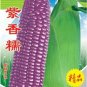 Fresh 100g Seeds/Pack Purple Glutinous Maize Corn Seeds Tasty Crops