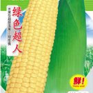 Fresh 100g Seeds/Pack Yellow Sweet Corn Seeds Chullpi Corn Can be Eaten Raw Fruit Corn