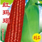 Fresh 1 Original Pack 100g Seeds/Pack Red Glutinous Maize Seeds Tasty Corn Seeds