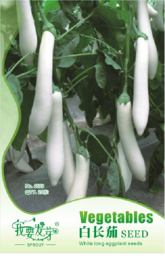 Fresh 1 Original Pack 20 Seeds / Pack Long White Eggs Heirloom Vegetables Seeds