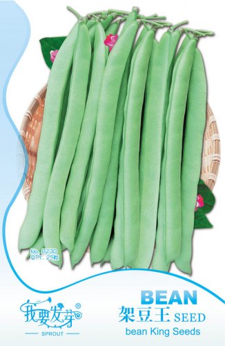 Fresh Green Kidney Bean Vegetable Seeds Original Pack 25 Seeds/Pack Tasty Seeds