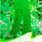 Fresh Brazil Nut Sword Bean Vegetable Seeds Original Pack 3 Seeds/Pack Knife Bean