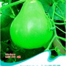 Fresh Winebibber Large Spoon Bottle Gourd Edible Vegetable Seeds 8 Seeds Calabash