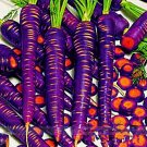 Fresh 500 seeds / pack Purple Dragon Carrot Absolutely Unique Bird s Nest Carota Seed