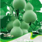 Fresh 8 Seeds/Pack Middle Bottle Groud Seed Lagenaris Siceraria