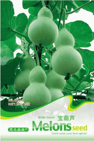 Fresh 8 Seeds/Pack Middle Bottle Groud Seed Lagenaris Siceraria