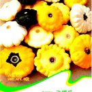 Fresh Mix Scalloped Patty Pan UFO Squash Seeds 8 Seeds/Pack Interest Vegetables