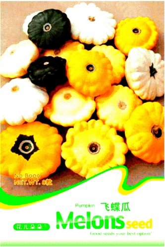 Fresh Mix Scalloped Patty Pan UFO Squash Seeds 8 Seeds/Pack Interest Vegetables