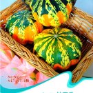 Fresh Diamon Pumpkin Edible Vegetable Seeds Original Pack 8 Seeds / Pack