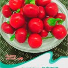 Fresh Szechwan Red Round Pickled Hot Chili Vegetable Seeds 20 Seeds/Pack