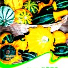 Fresh Mixed Doll Pumpkin Vegetables Edible Seeds Original Pack 10 Seeds / Pack