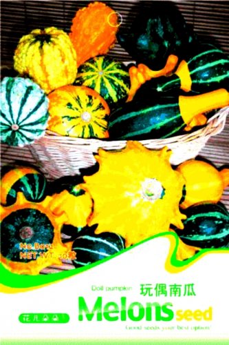 Fresh Mixed Doll Pumpkin Vegetables Edible Seeds Original Pack 10 Seeds / Pack