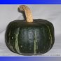 Fresh The Standard Buttercup Squash Vegetables Seeds 10 Seeds Burgess Strain Seeds
