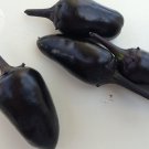Fresh Hot Chilli Pepper Black Olive Seeds 20 Seeds heirloom vegetables