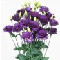 Fresh Eustoma Dark Purple Seeds