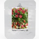 Fresh Tristan F1 Strawberry Seeds 100 Seeds / Pack Deep Rose Flowers on Compact