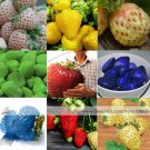Fresh 100 Seeds 9 Types Strawberry Cream White Yellow Green Giant Blue Red Berry Seed