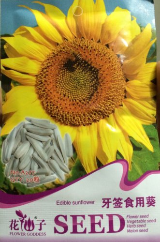 Fresh Edible White Long Sunflower Seeds 20 Seeds/Pack Tasty Seeds Flowers