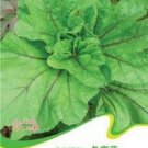 Fresh Edible Chinese Mallow Vegetable Seeds 20 Seeds