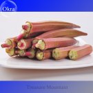 Fresh Green Okra Clemsons Spineless Red gumbo Vegetable Seeds 100 Seeds Ladies fingers