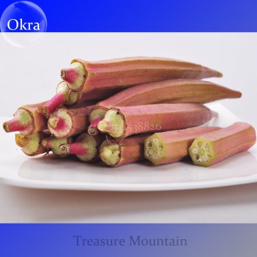 Fresh Green Okra Clemsons Spineless Red gumbo Vegetable Seeds 100 Seeds Ladies fingers