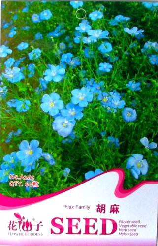 Fresh Heirloom Wild Blue Flax Perennial Flower Seeds Original Pack 60 Seeds / Pack