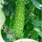 Fresh 12 Seeds/Pack Green Bitter Gourd Seed Bitter Melon Balsam Pear Vegetables