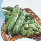 Fresh Original Pack 6 Seeds / Pack Broad Bean Seed Aquadulce Vegetables #NF480