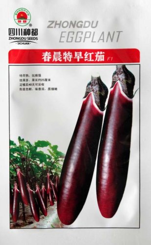 Fresh 8g Seeds/Pack Sichuan Super Red Early maturing Long Egg F1 Seeds Vegetables
