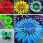 Fresh Gazania Mixed Seeds