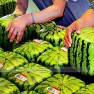 Fresh 20 seeds / pack Square Water Melon Seed Red Sweet Juicy Watermelon Seed