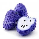 Fresh Graviola Annona Muricata Exotic Seeds