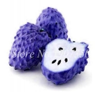 Fresh Graviola Annona Muricata Exotic Seeds