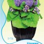 Fresh Blue Ageratum Conyzoides Herbal Flower Seeds Original Pack 60 Seeds / Pack